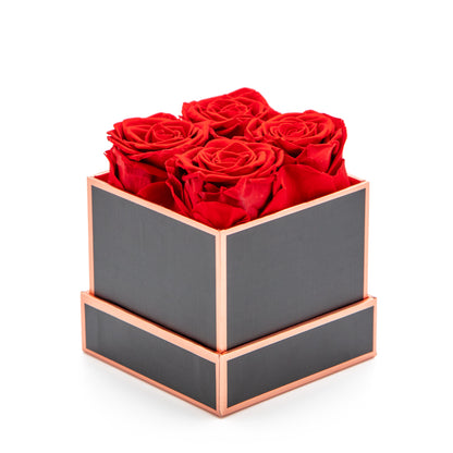 ALAIYE Preserved Roses: Eternal Roses for Home Décor, Gift for Valentine, Birthday, Mother's Day, Christmas, Anniversary, Wedding