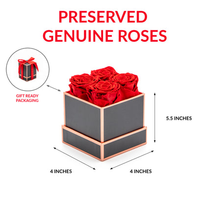 ALAIYE Preserved Roses: Eternal Roses for Home Décor, Gift for Valentine, Birthday, Mother's Day, Christmas, Anniversary, Wedding