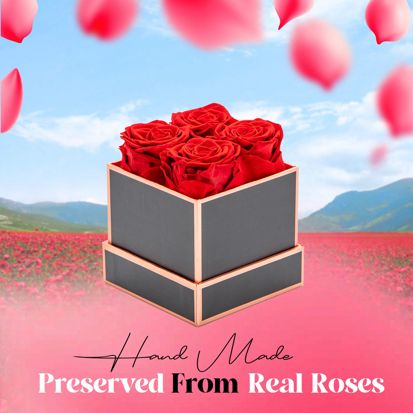 ALAIYE Preserved Roses: Eternal Roses for Home Décor, Gift for Valentine, Birthday, Mother's Day, Christmas, Anniversary, Wedding